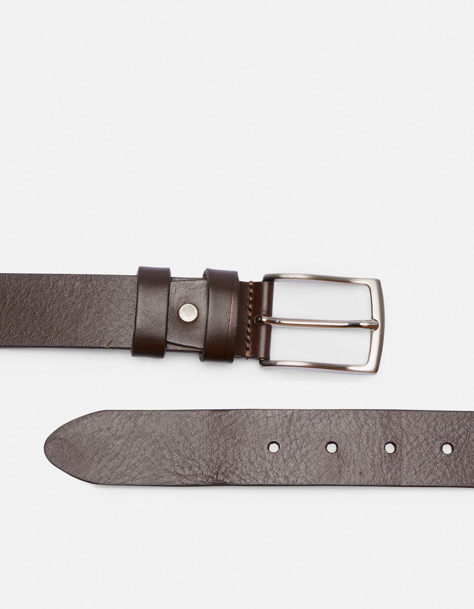 BELT Dark brown  - Men Belts - Belts - Cuoieria Fiorentina