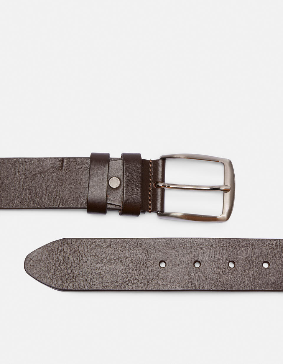 Belt Dark brown  - Men Belts - Belts - Cuoieria Fiorentina